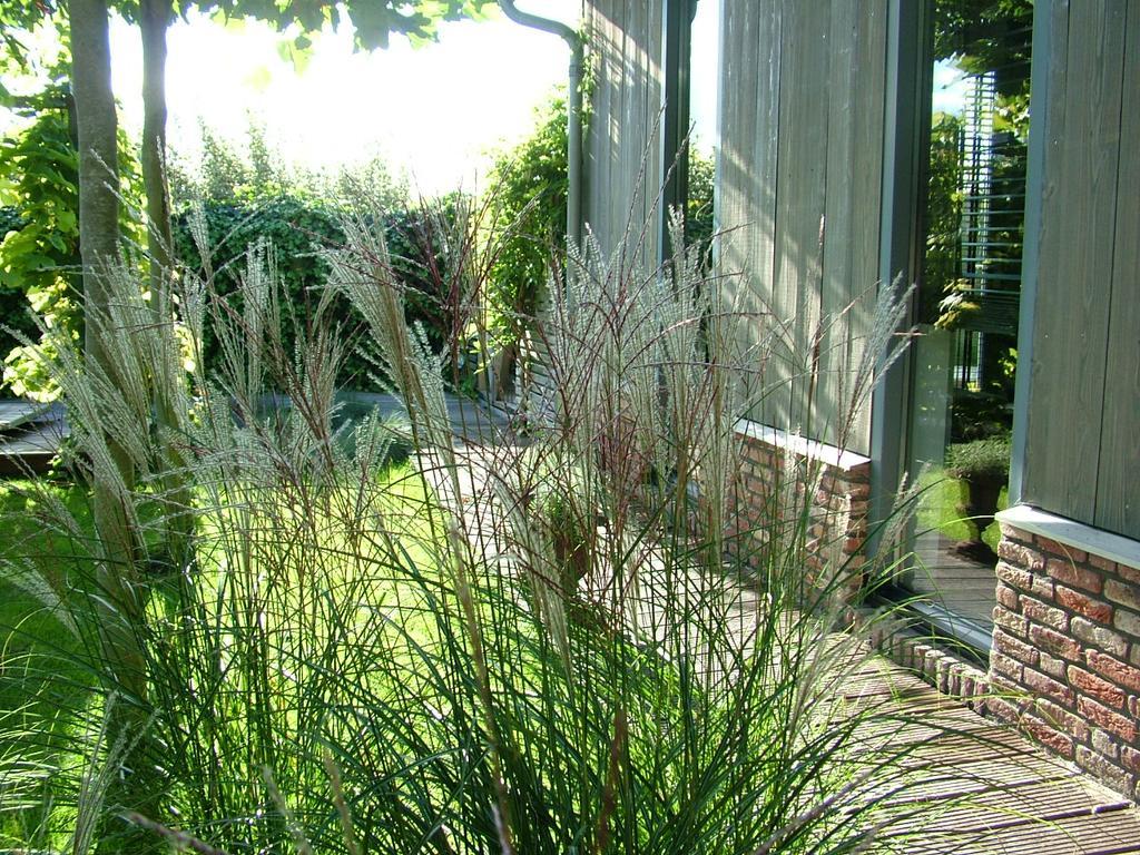 דירות אמסטרדם De Greenhouse מראה חיצוני תמונה