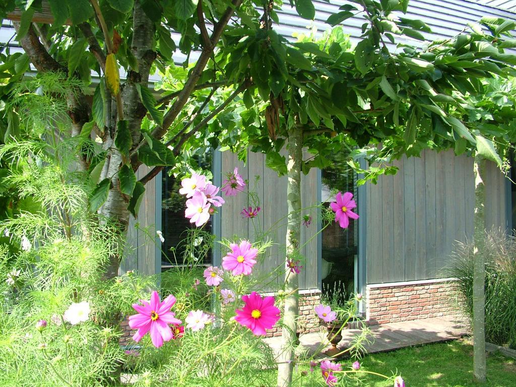 דירות אמסטרדם De Greenhouse מראה חיצוני תמונה