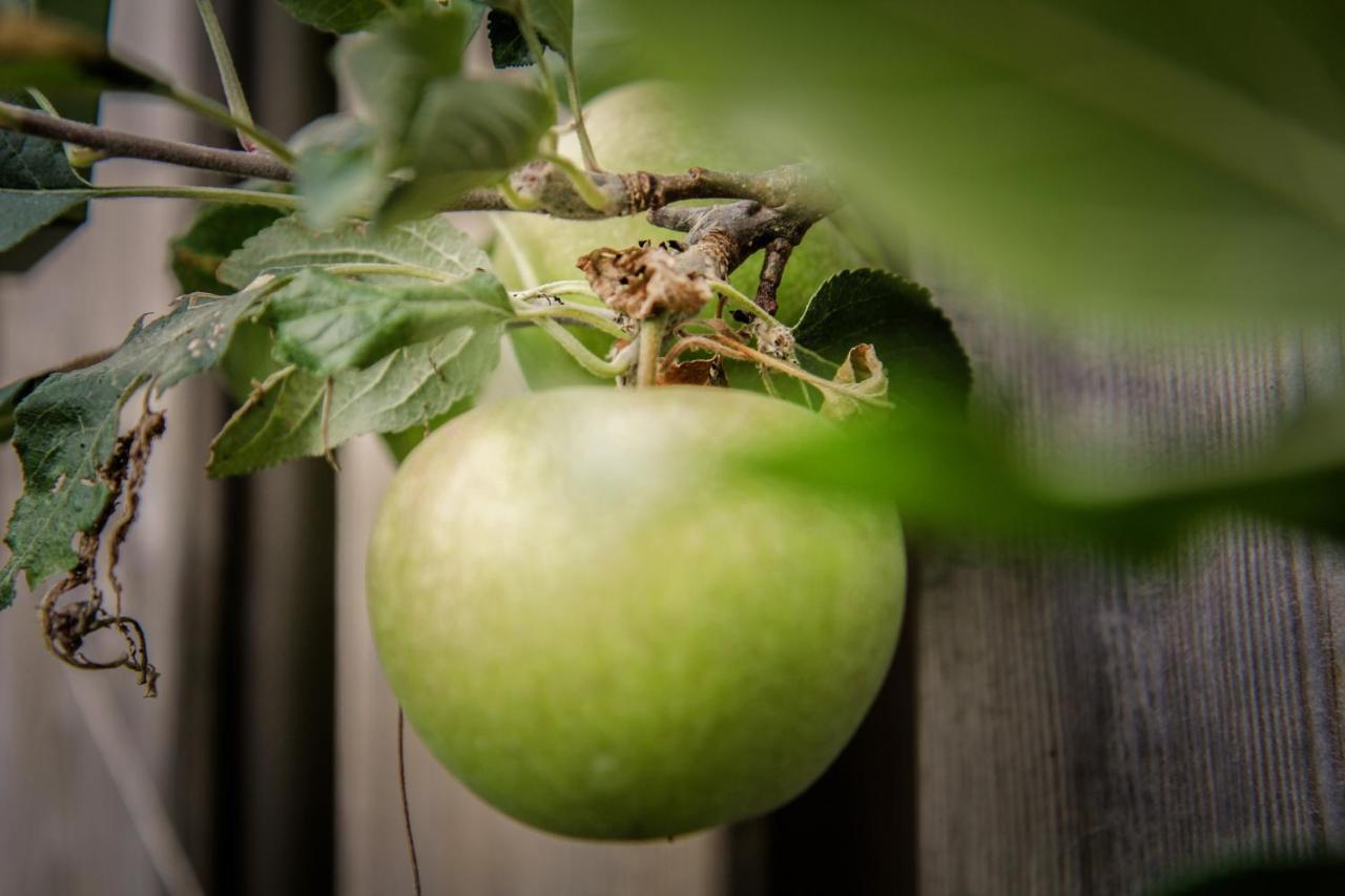 דירות אמסטרדם De Greenhouse מראה חיצוני תמונה