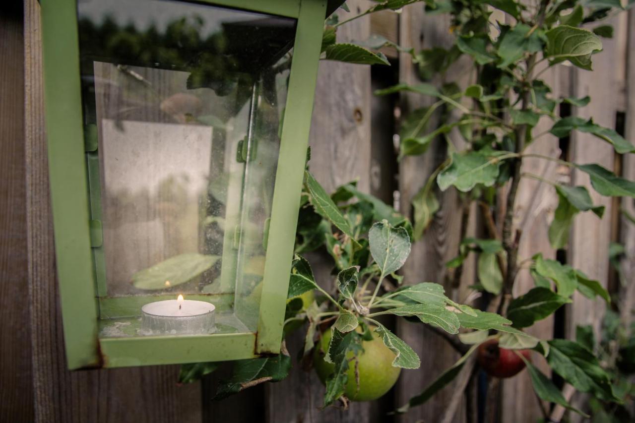 דירות אמסטרדם De Greenhouse מראה חיצוני תמונה